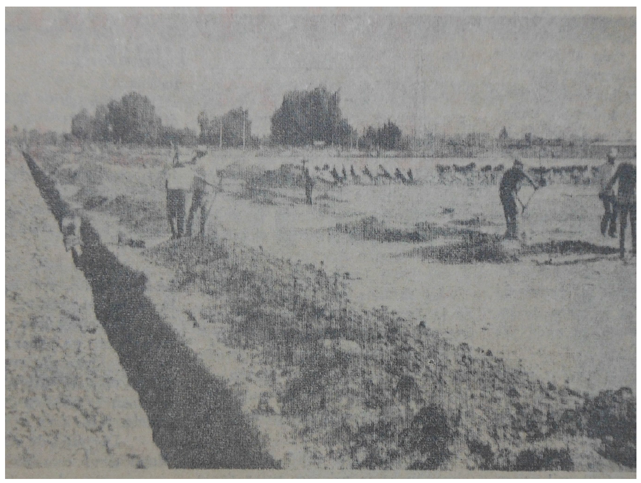 Figura 7. Urbanización para crear una nueva colonia indeco Sahuaro