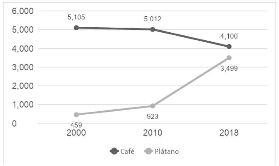 Figura 3. Evolución de las hectáreas de tierra sembradas de café y plátano en el municipio
						de Trujillo, 2000-2018